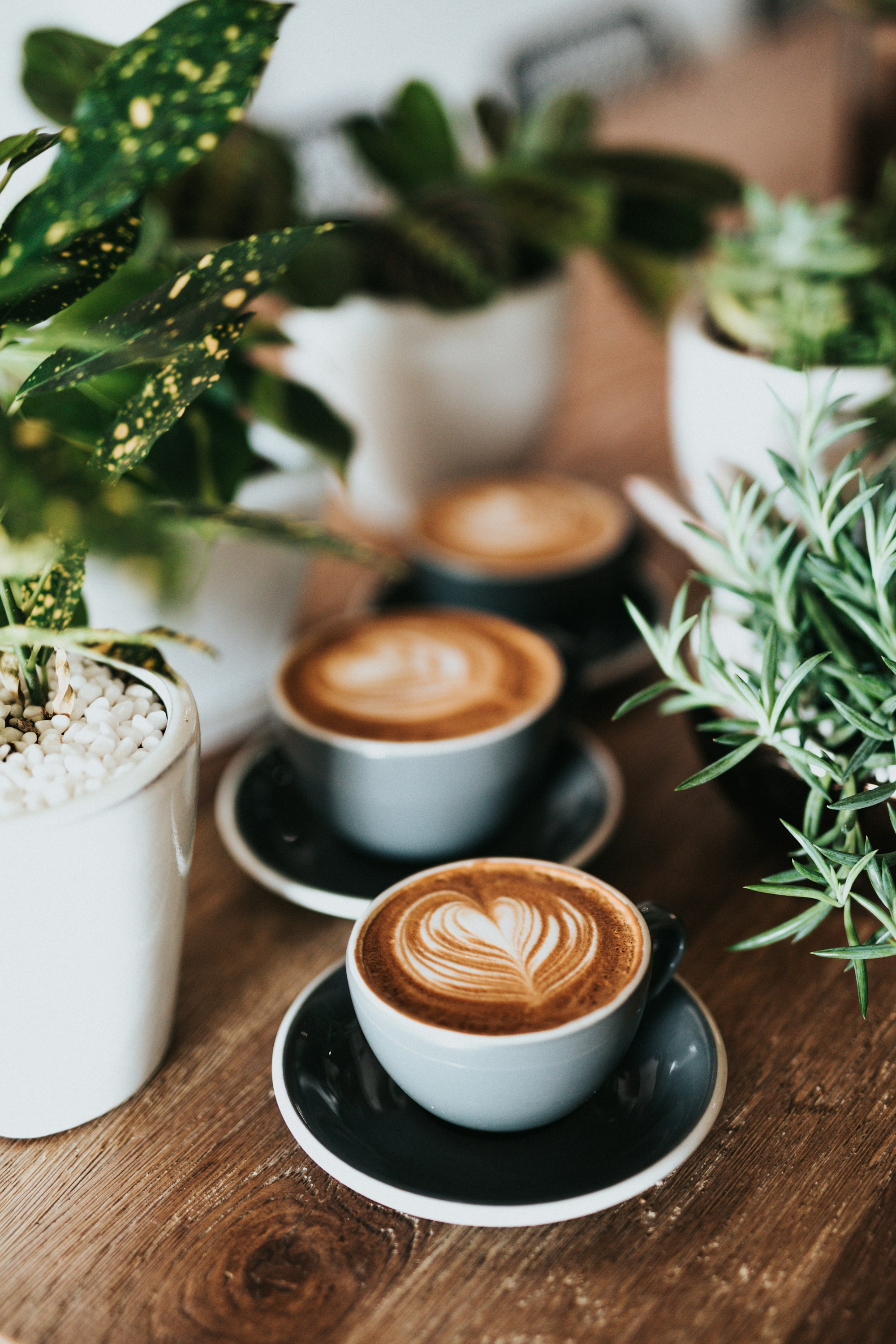 Visit Isaiah Café at 101 19th Street NW, Calgary
